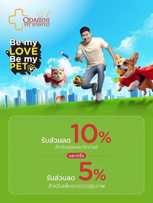 โปรโมชั่นพิเศษ ที่ โรงพยาบาลสัตว์โอะไดจินิ